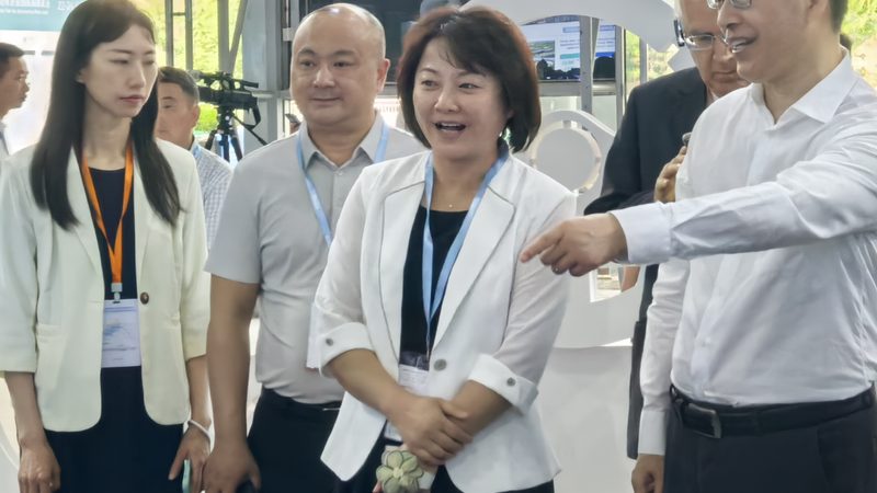 底盘件批发商，如何选择可靠伙伴？**